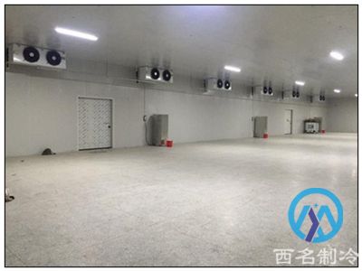 洋葱冷库 洋葱冷库