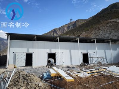 5000平方米气调冷库 5000平方米气调冷库